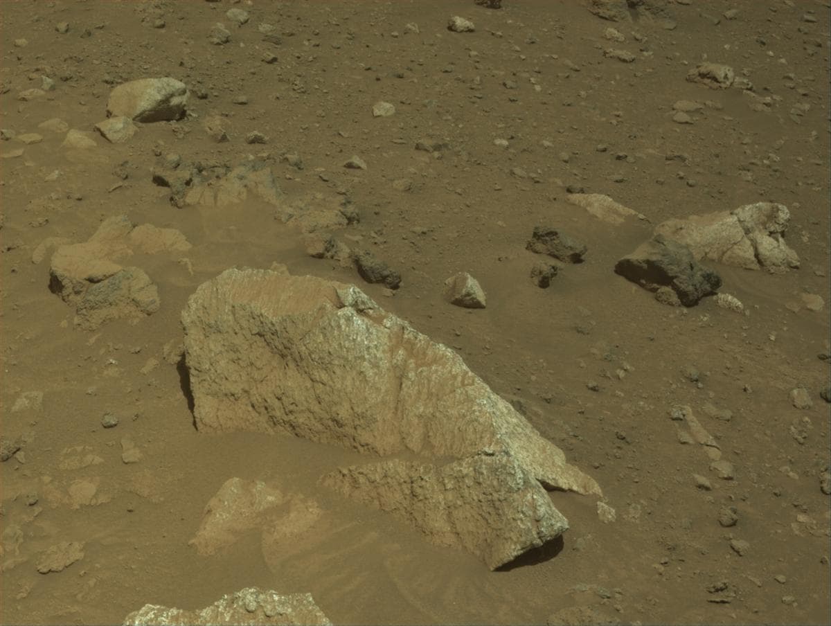 Mars image captured by NAVCAM_LEFT on Perseverance