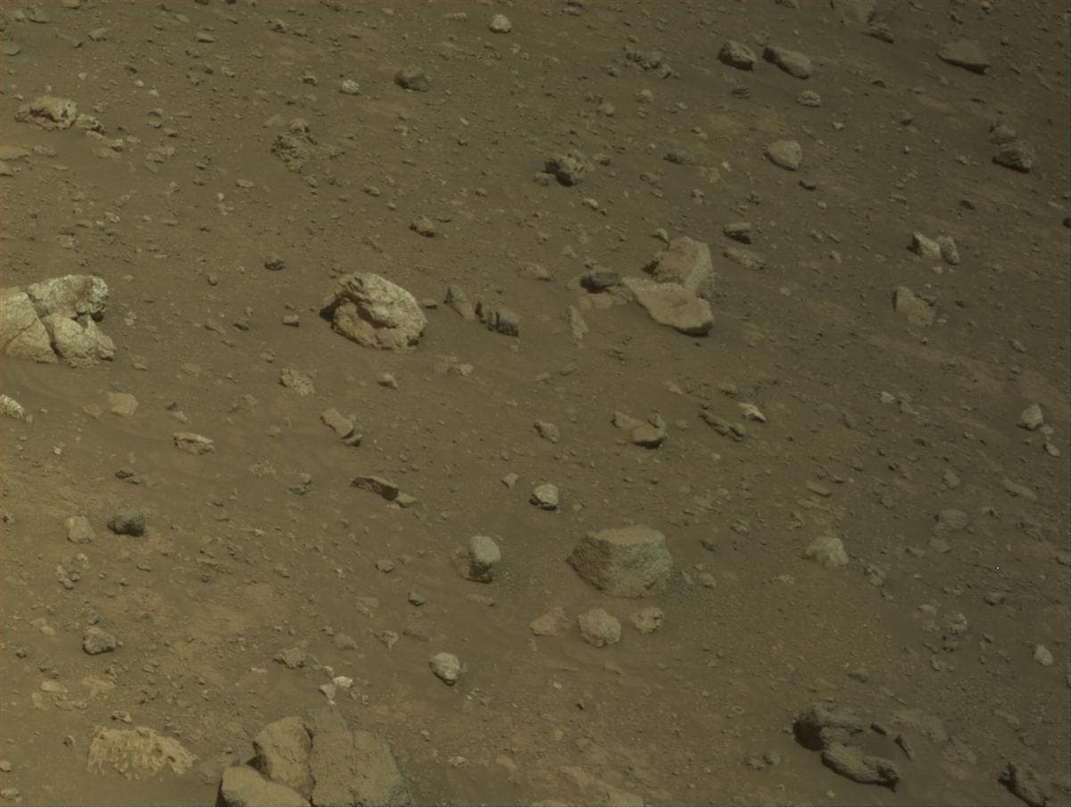 Mars image captured by NAVCAM_RIGHT on Perseverance