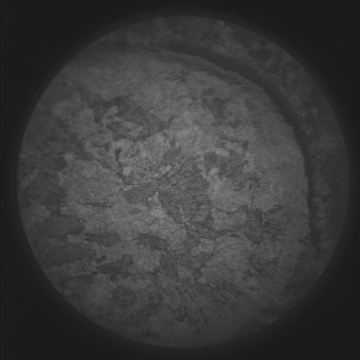Mars image captured by SUPERCAM_RMI on Perseverance