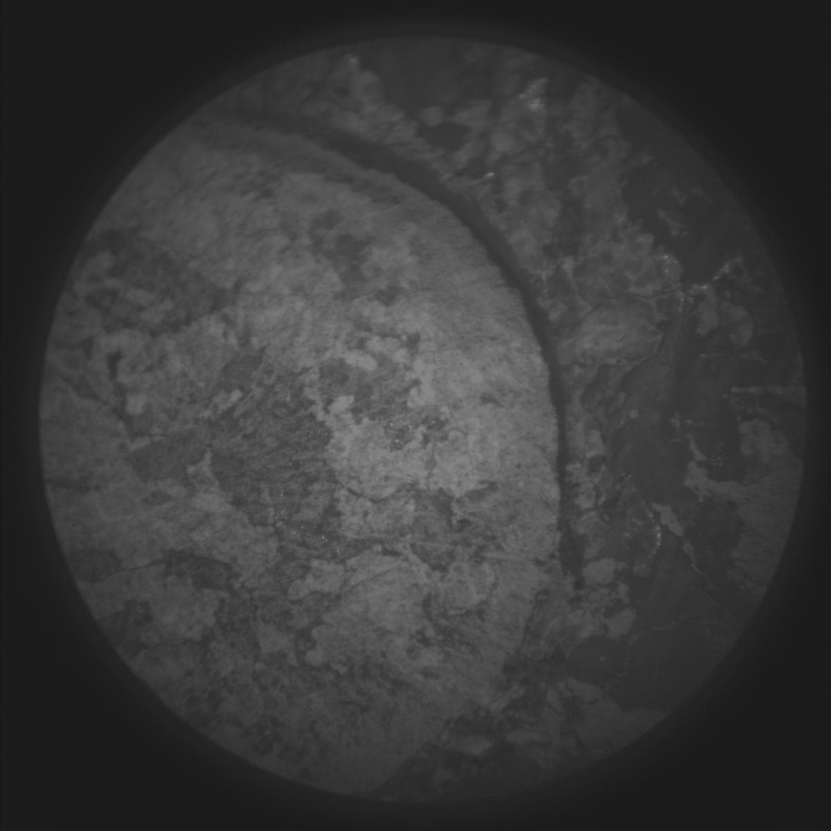 Mars image captured by SUPERCAM_RMI on Perseverance