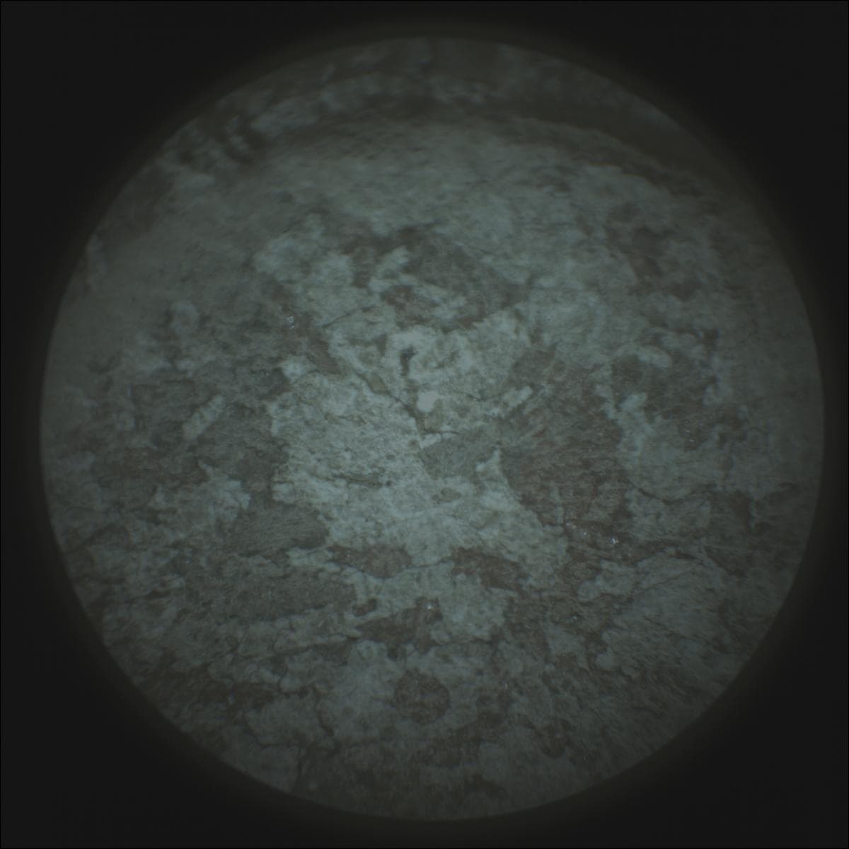 Mars image captured by SUPERCAM_RMI on Perseverance