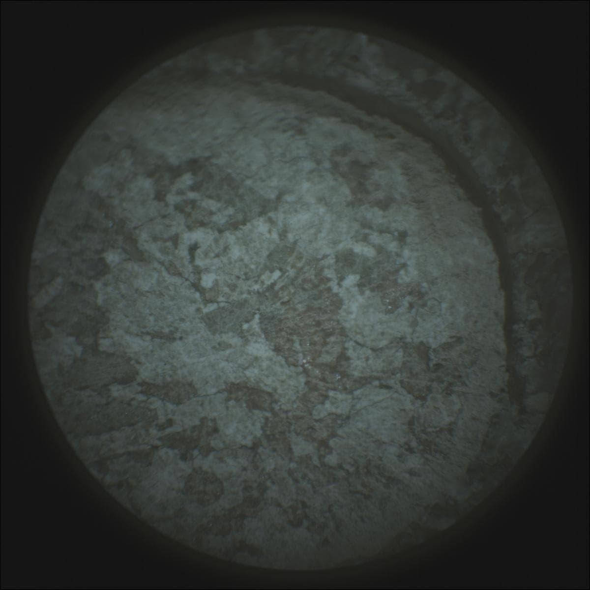 Mars image captured by SUPERCAM_RMI on Perseverance