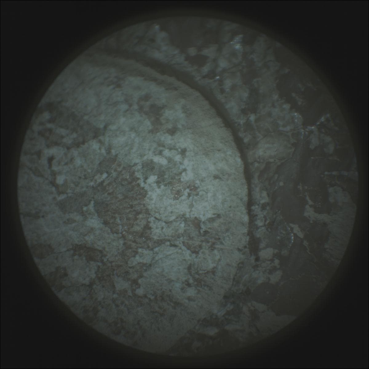 Mars image captured by SUPERCAM_RMI on Perseverance