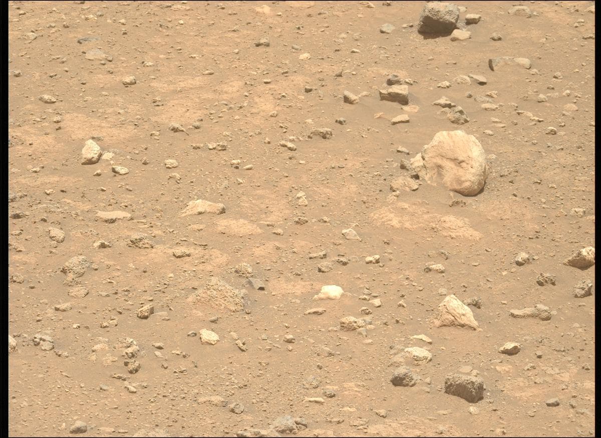 Mars image captured by MCZ_LEFT on Perseverance