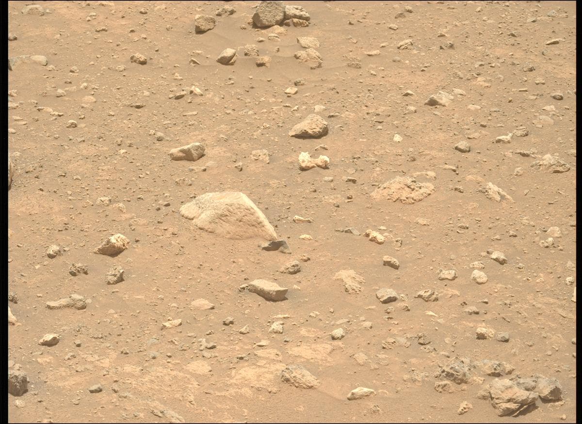 Mars image captured by MCZ_LEFT on Perseverance
