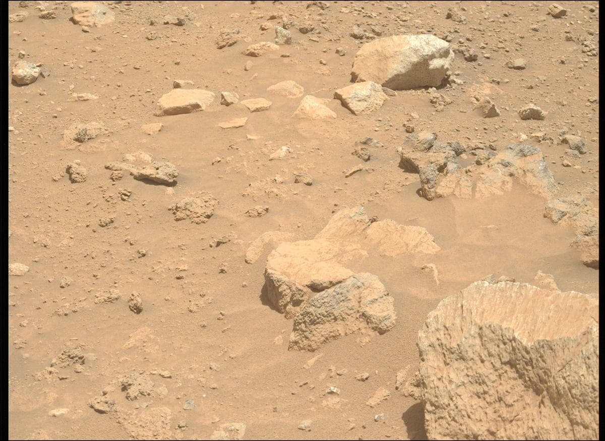 Mars image captured by MCZ_LEFT on Perseverance