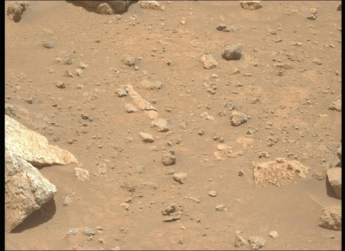 Mars image captured by MCZ_LEFT on Perseverance
