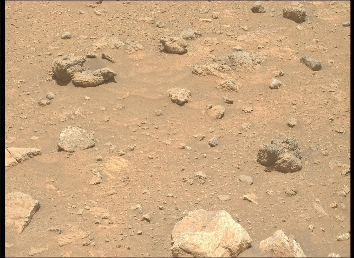 Mars image captured by MCZ_LEFT on Perseverance