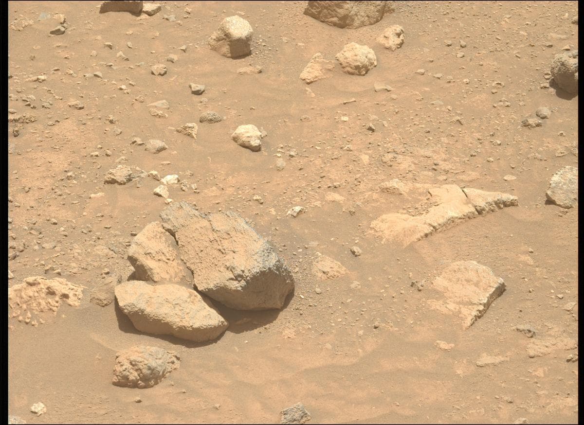Mars image captured by MCZ_LEFT on Perseverance