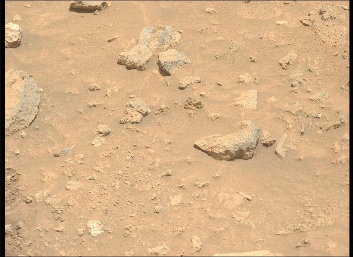 Mars image captured by MCZ_LEFT on Perseverance