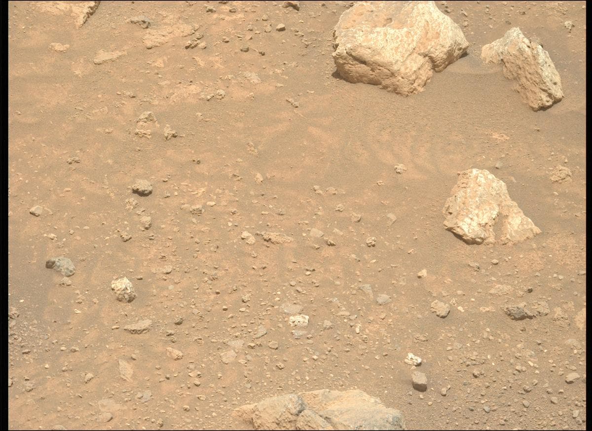 Mars image captured by MCZ_LEFT on Perseverance