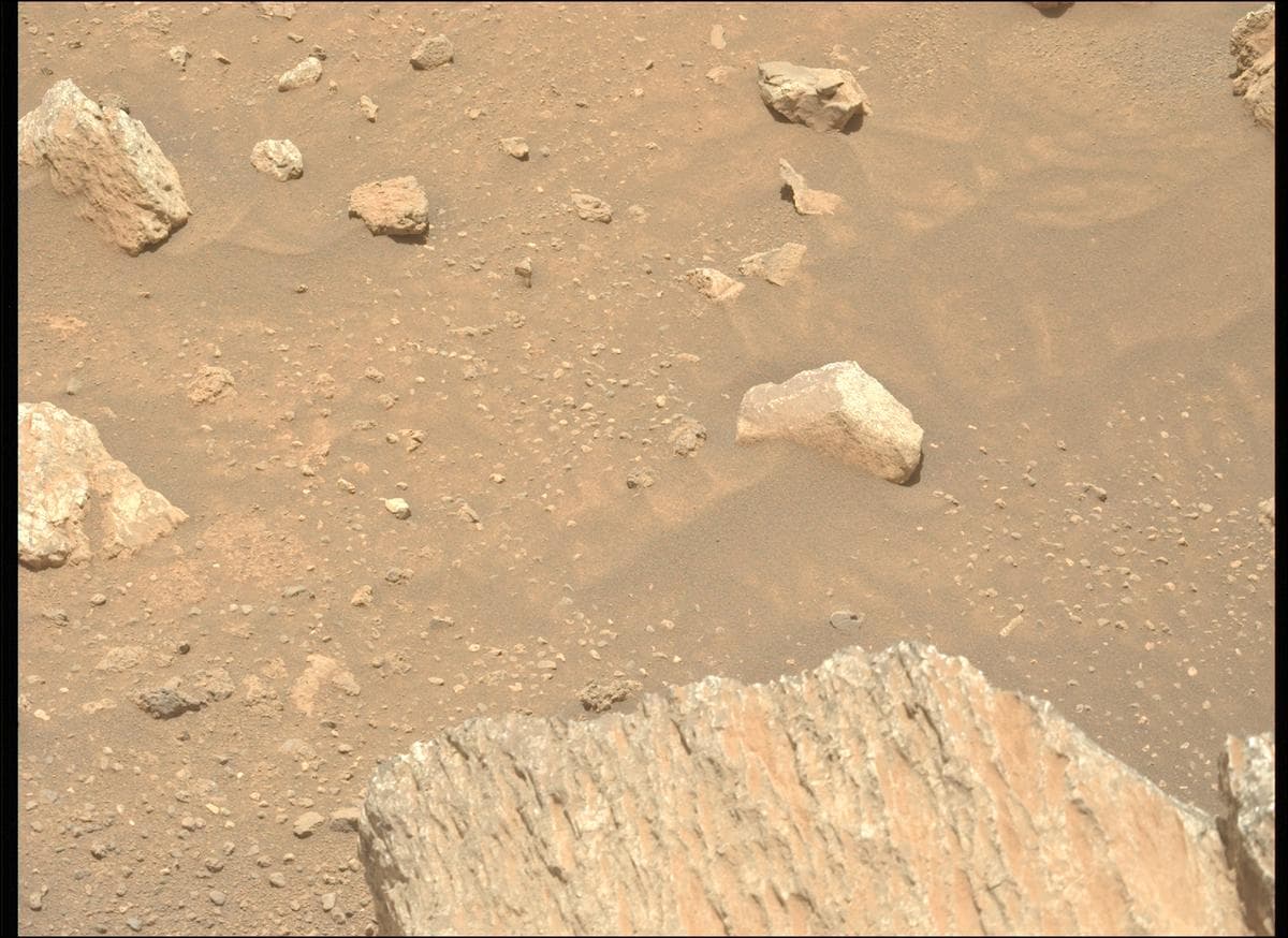 Mars image captured by MCZ_LEFT on Perseverance