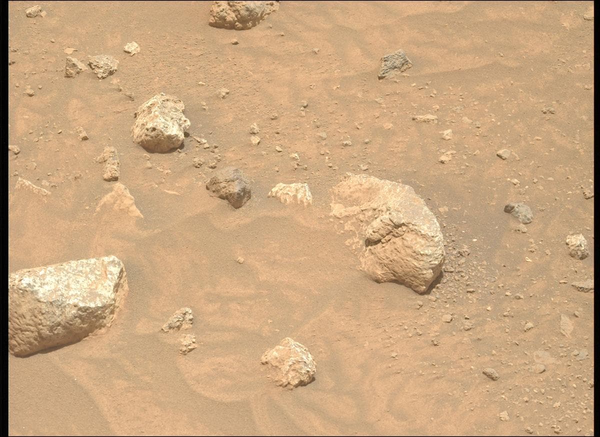 Mars image captured by MCZ_LEFT on Perseverance