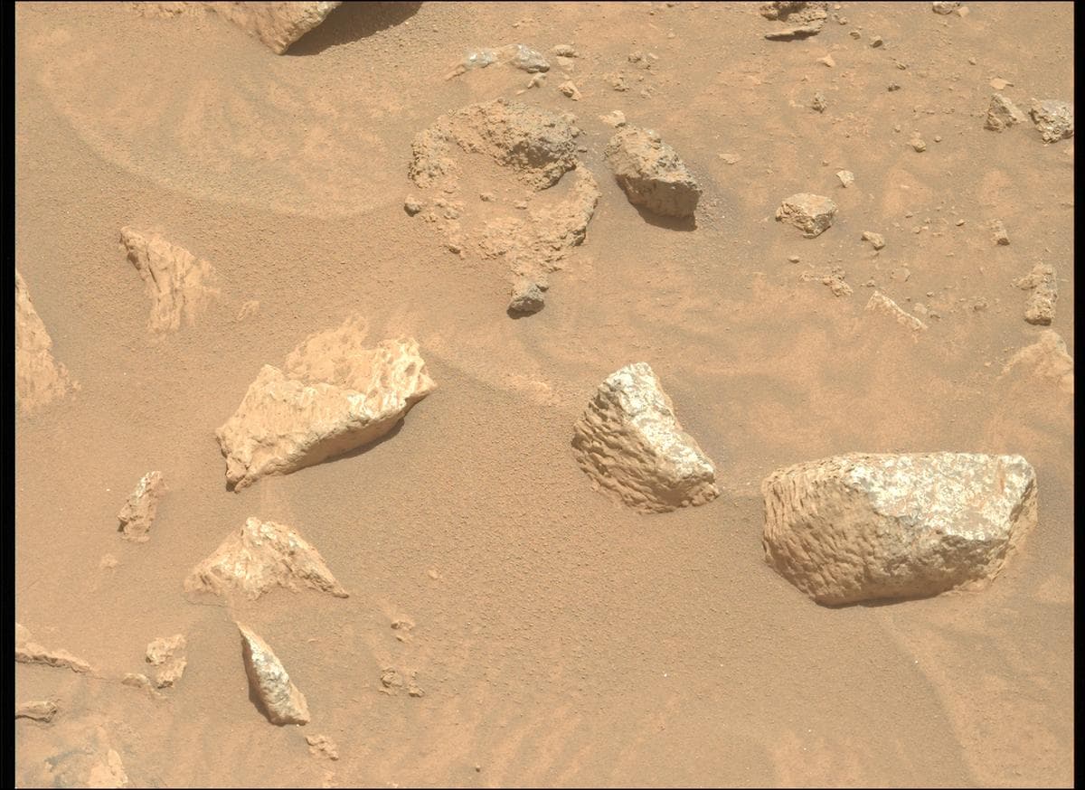 Mars image captured by MCZ_LEFT on Perseverance