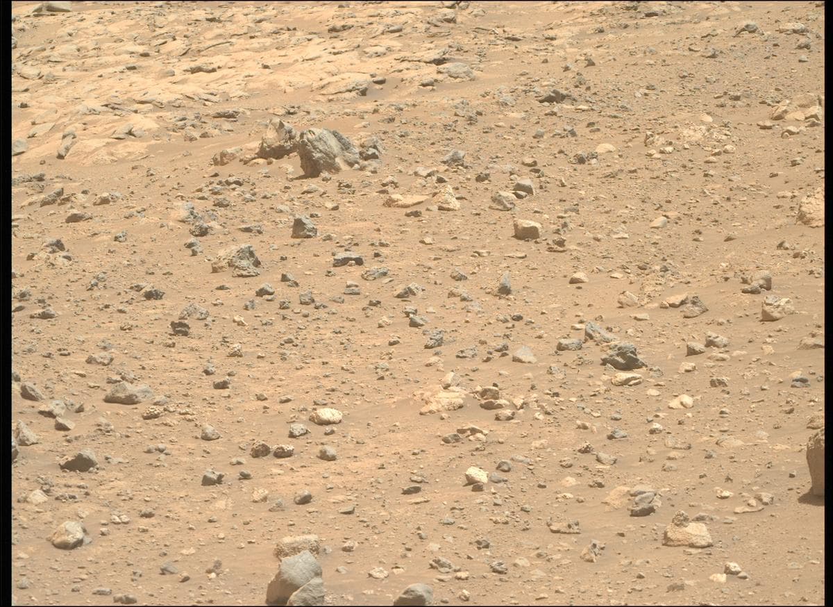 Mars image captured by MCZ_RIGHT on Perseverance