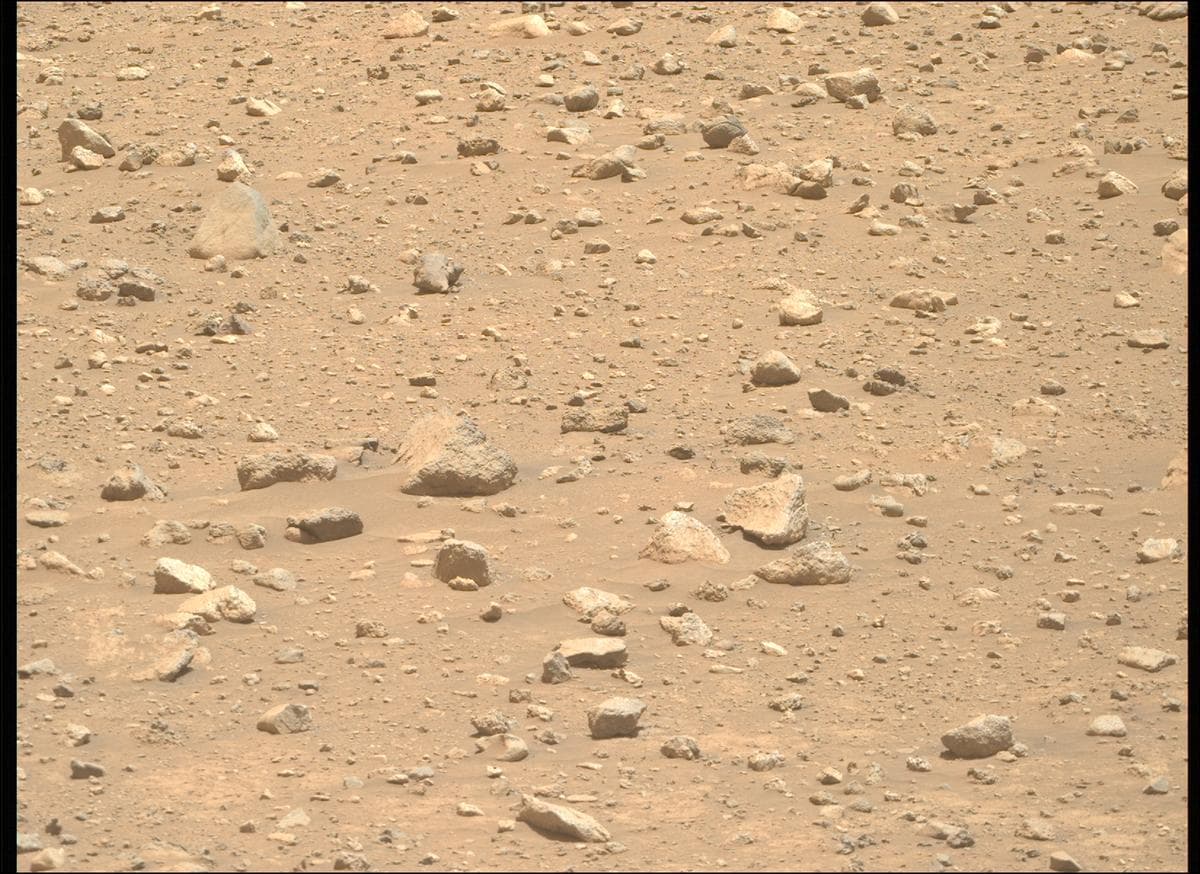 Mars image captured by MCZ_RIGHT on Perseverance