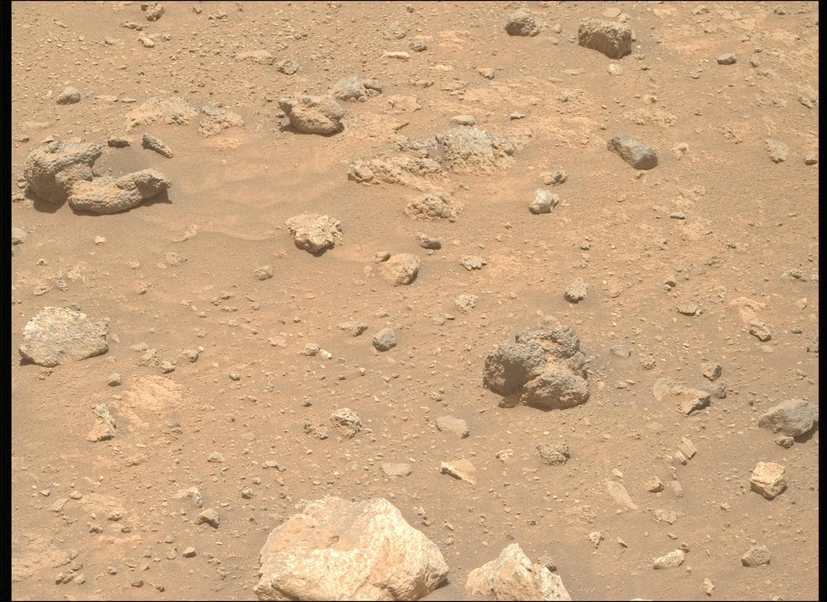 Mars image captured by MCZ_RIGHT on Perseverance