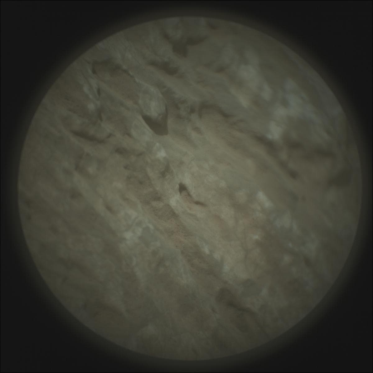 Mars rover photo