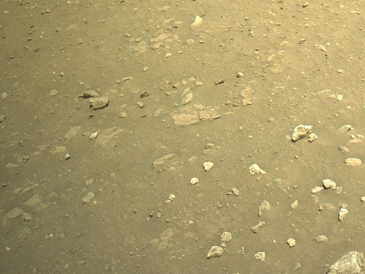 Mars image captured by NAVCAM_LEFT on Perseverance