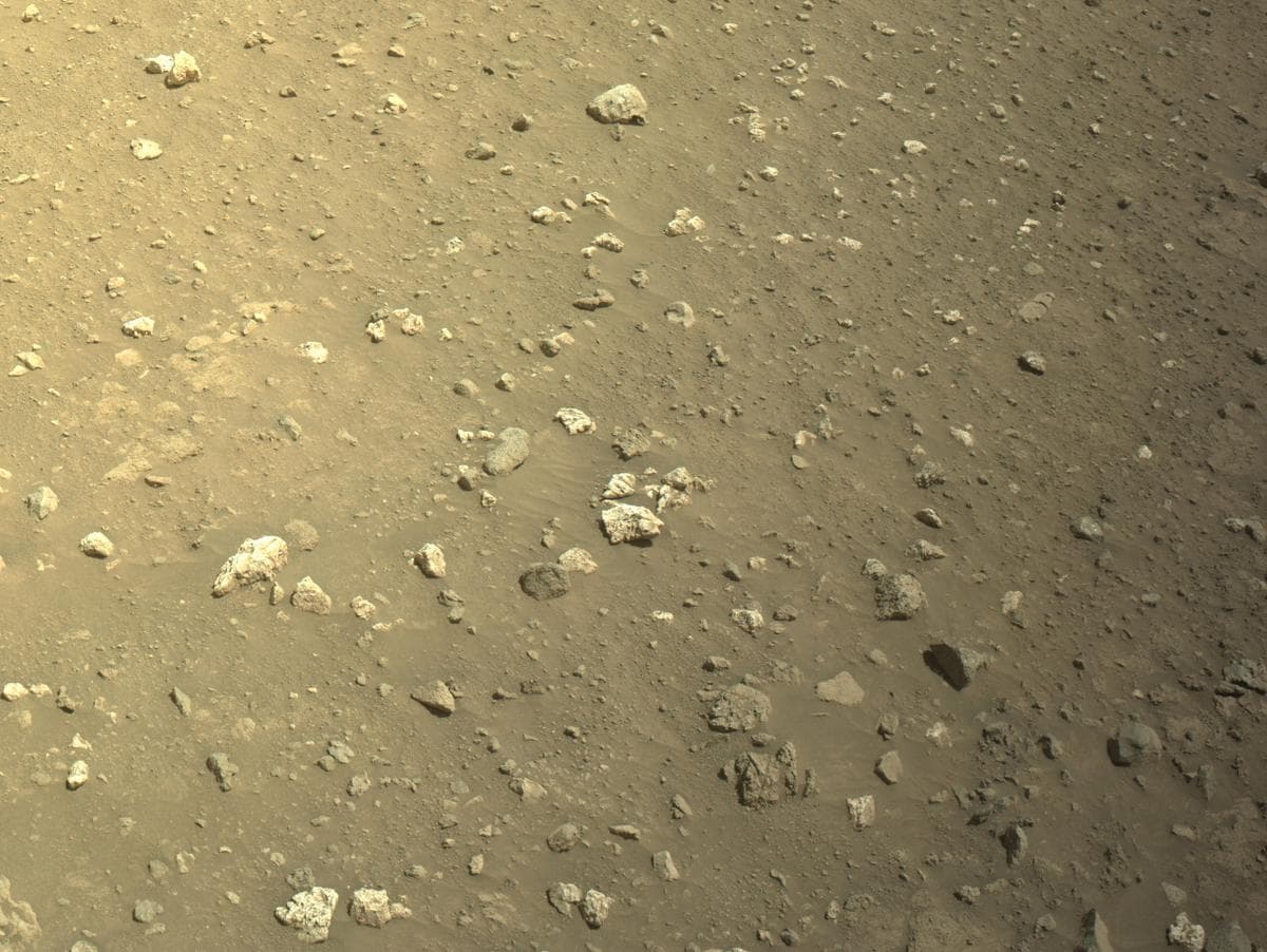 Mars image captured by NAVCAM_LEFT on Perseverance