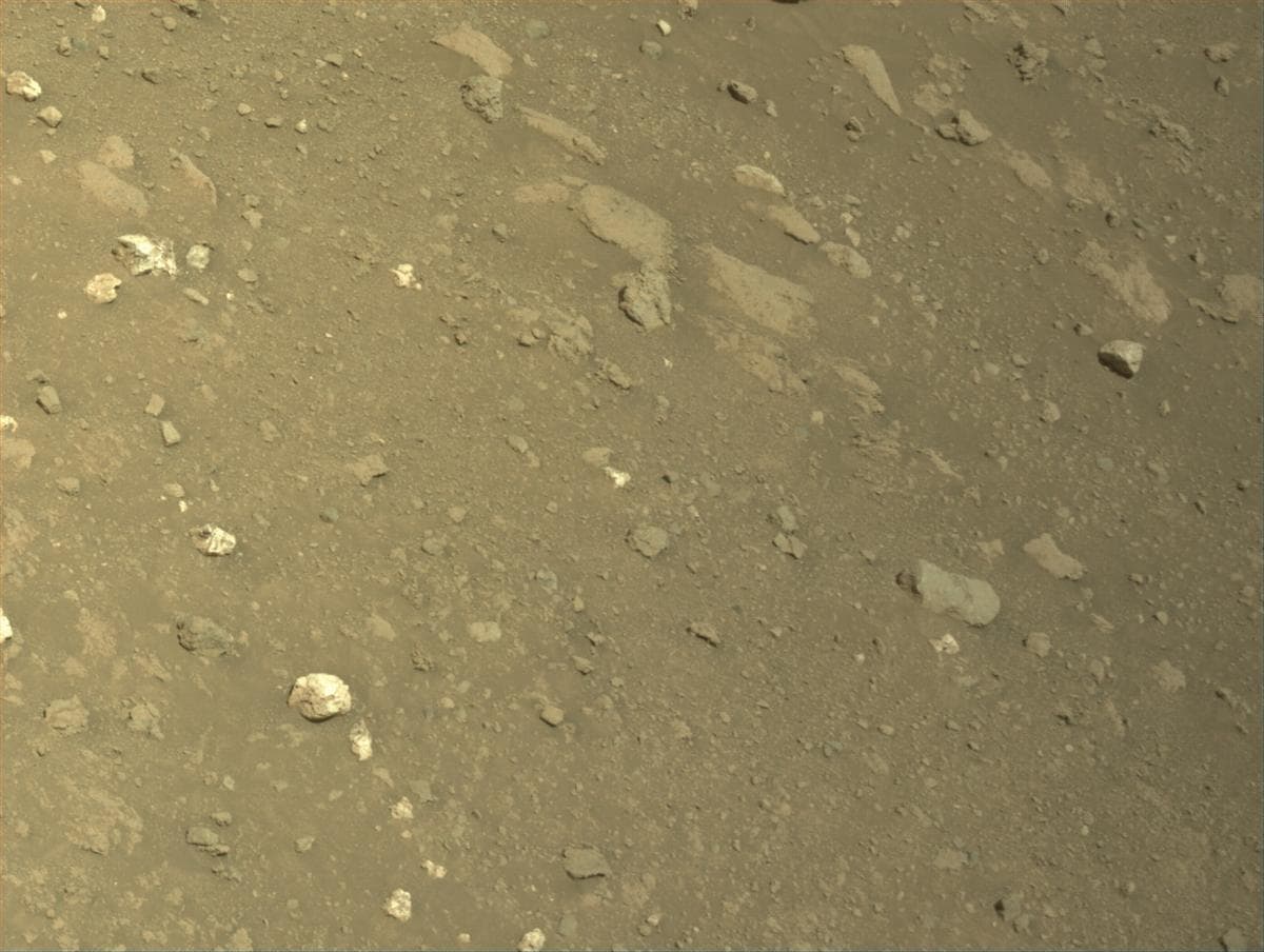Mars image captured by NAVCAM_RIGHT on Perseverance