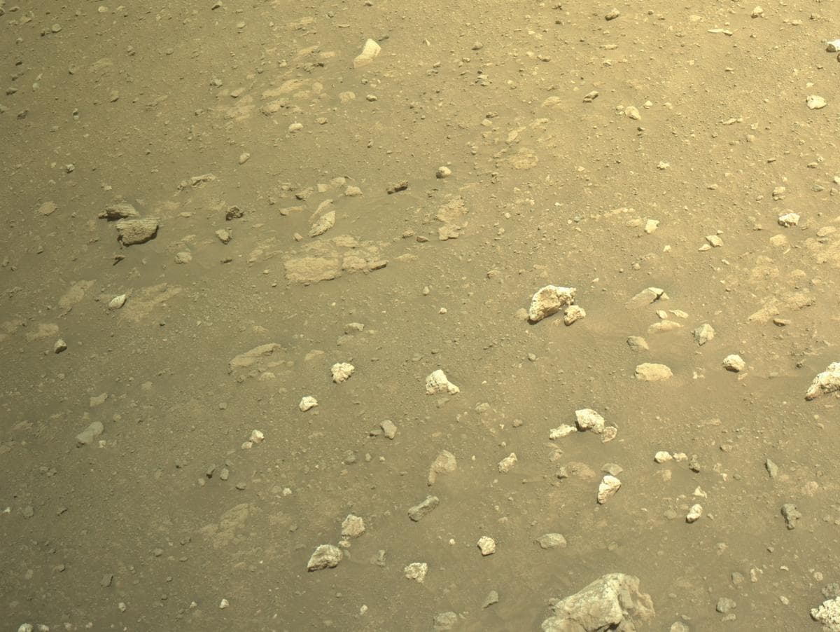 Mars image captured by NAVCAM_RIGHT on Perseverance