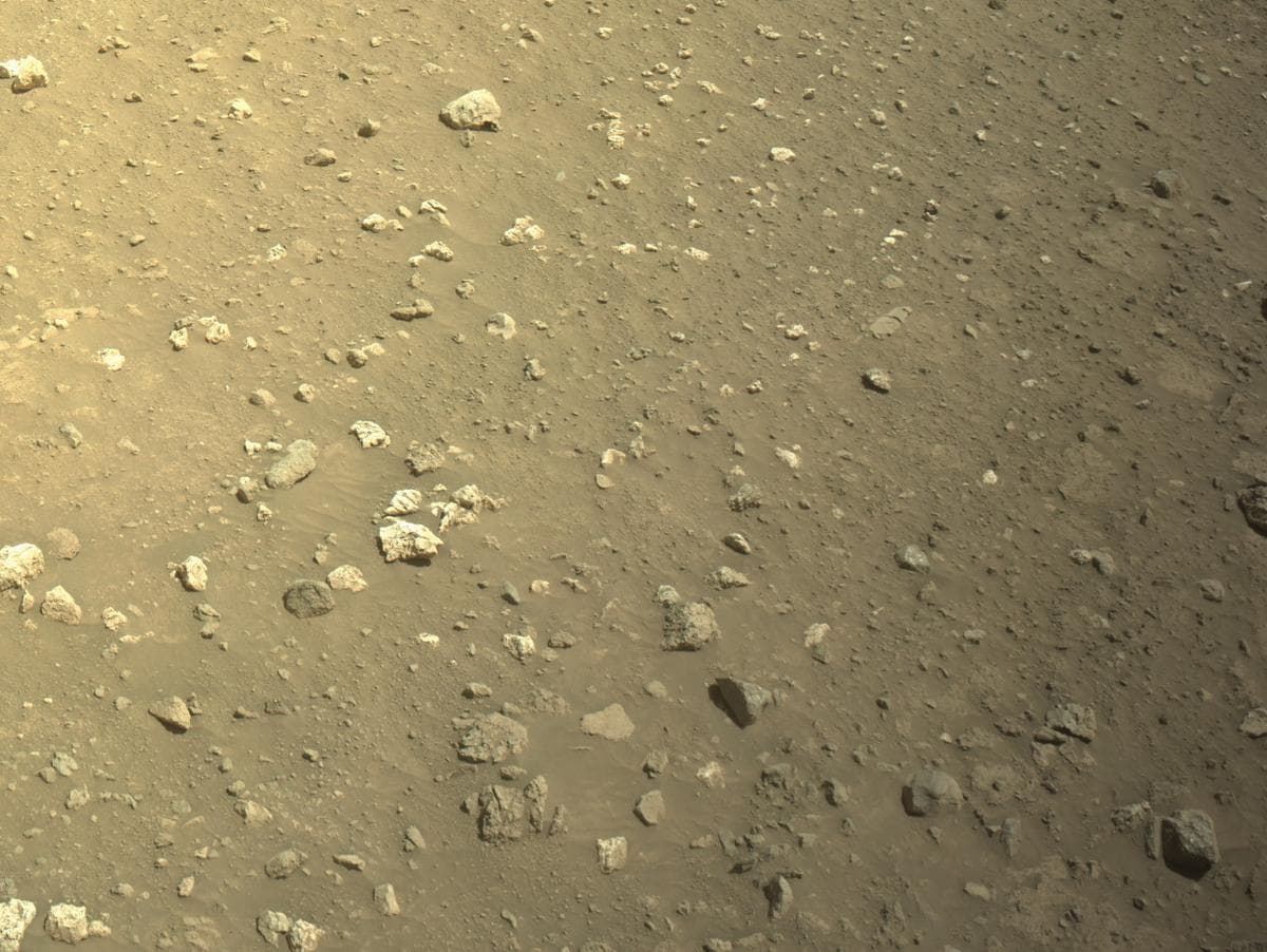 Mars image captured by NAVCAM_RIGHT on Perseverance