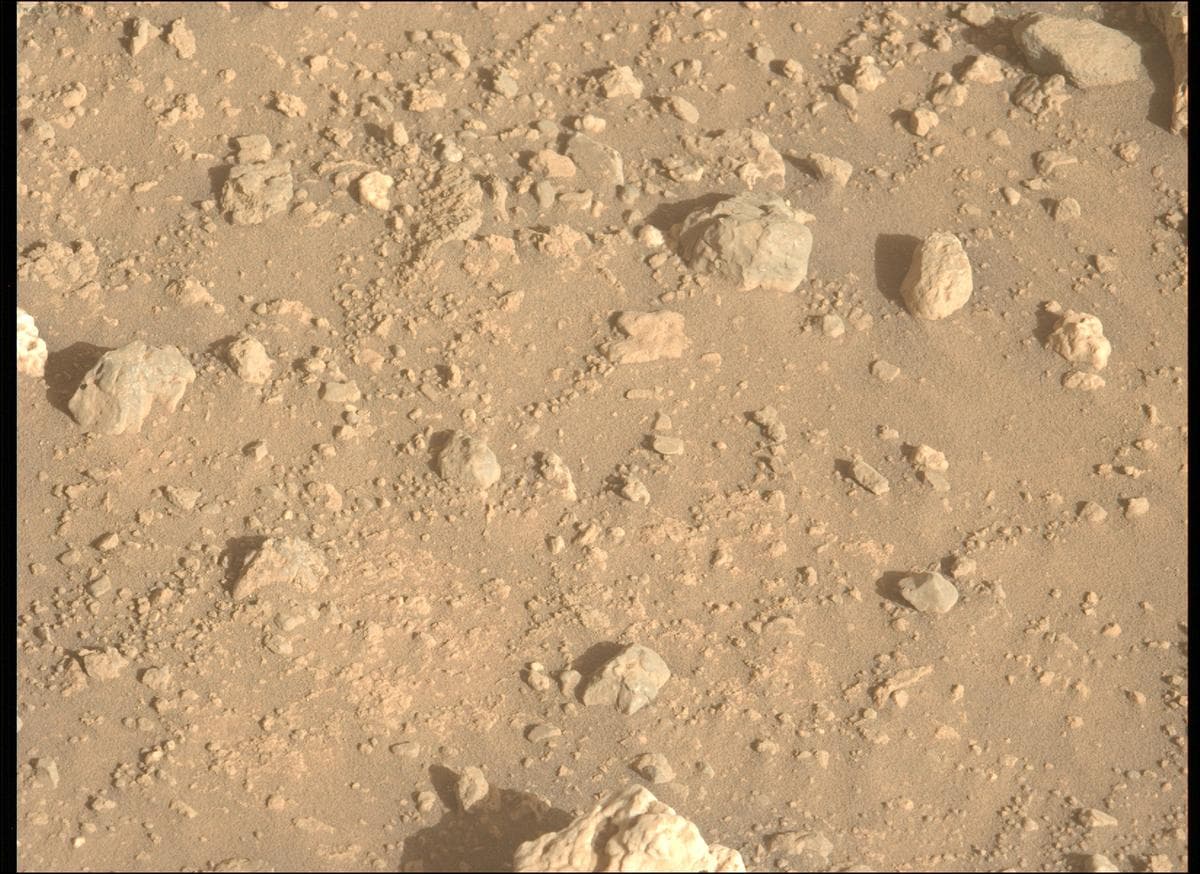 Mars image captured by MCZ_LEFT on Perseverance