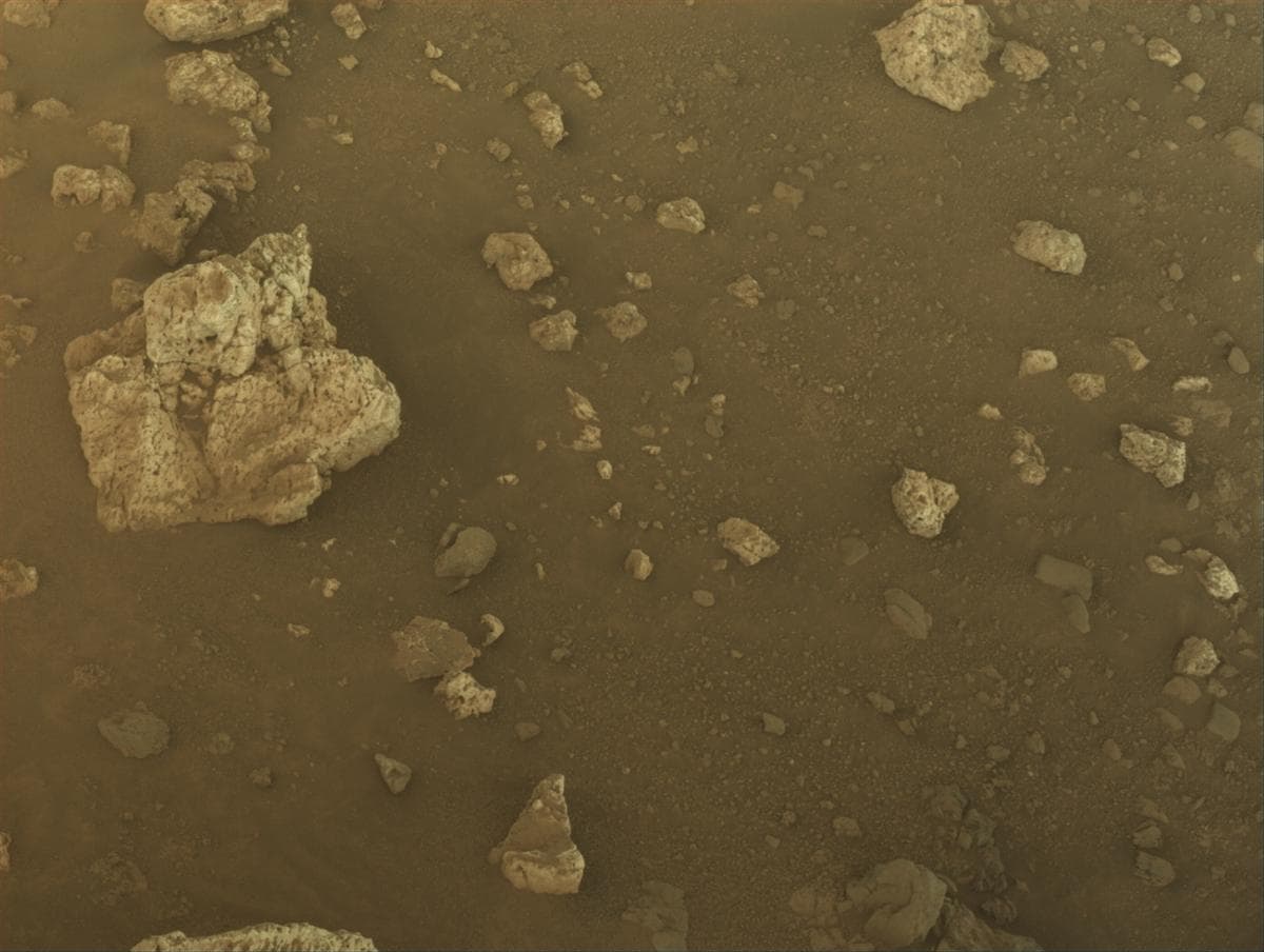 Mars image captured by NAVCAM_LEFT on Perseverance