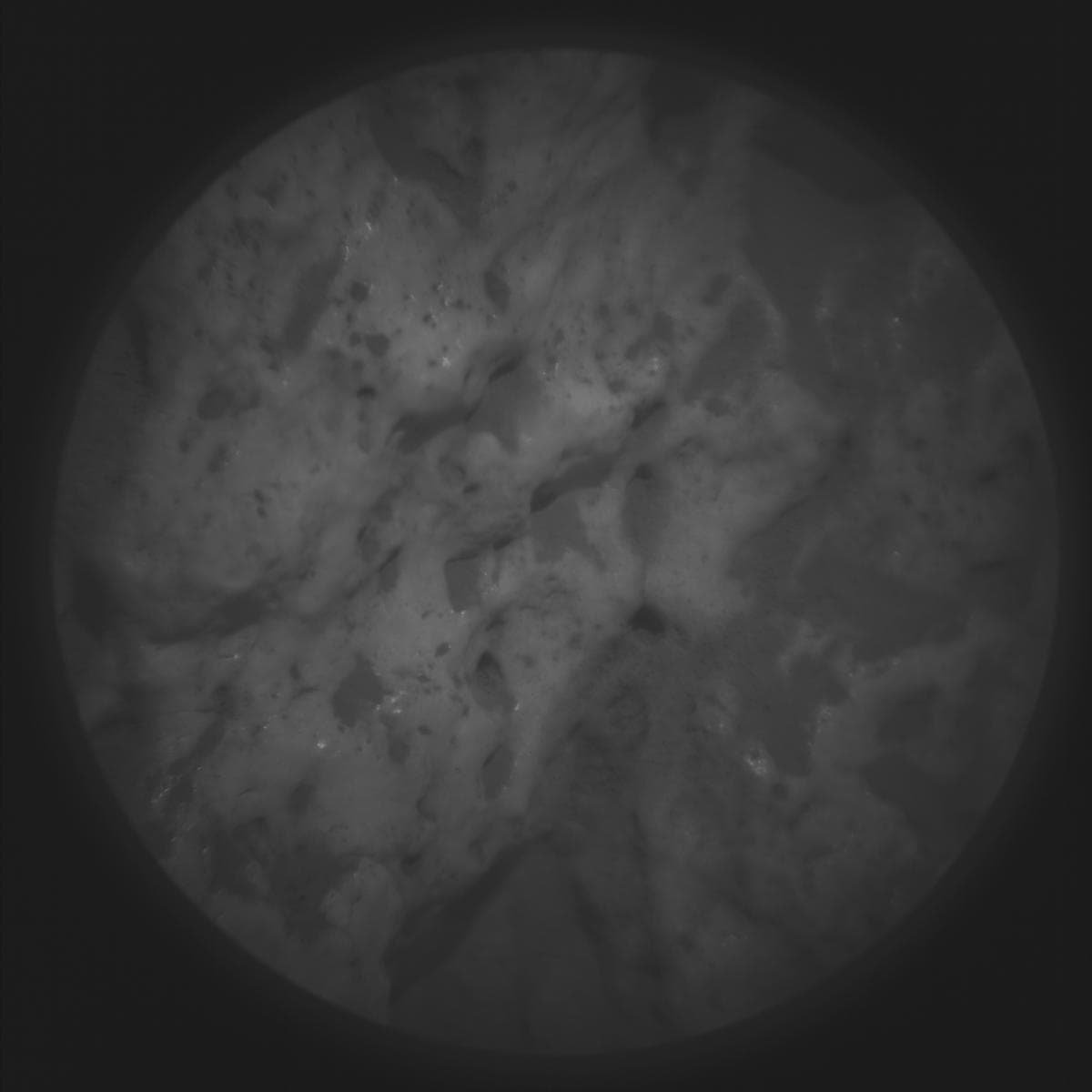 Mars rover photo
