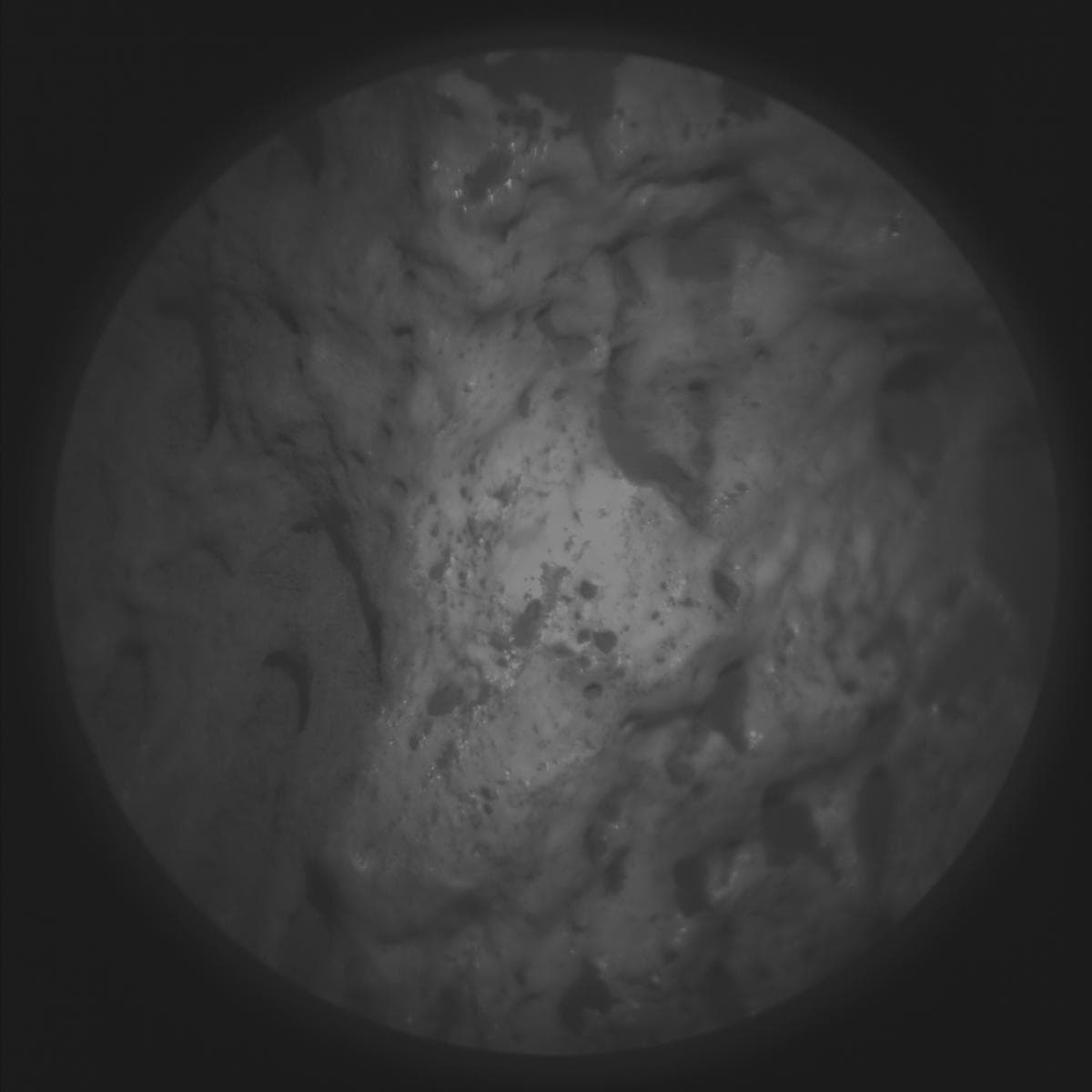 Mars rover photo