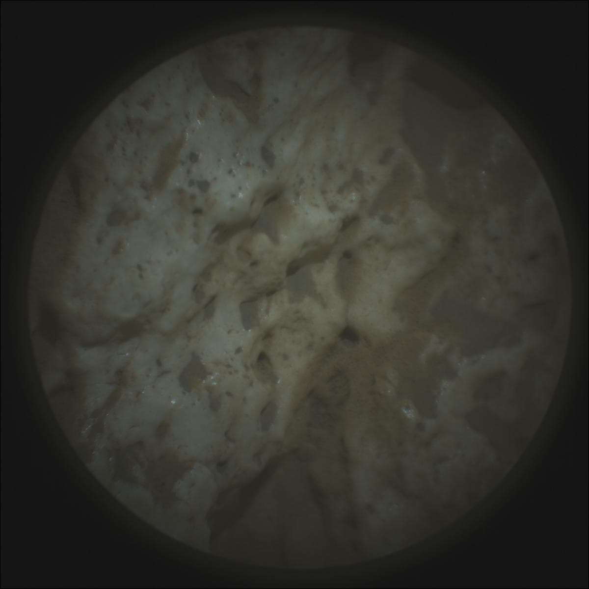 Mars rover photo
