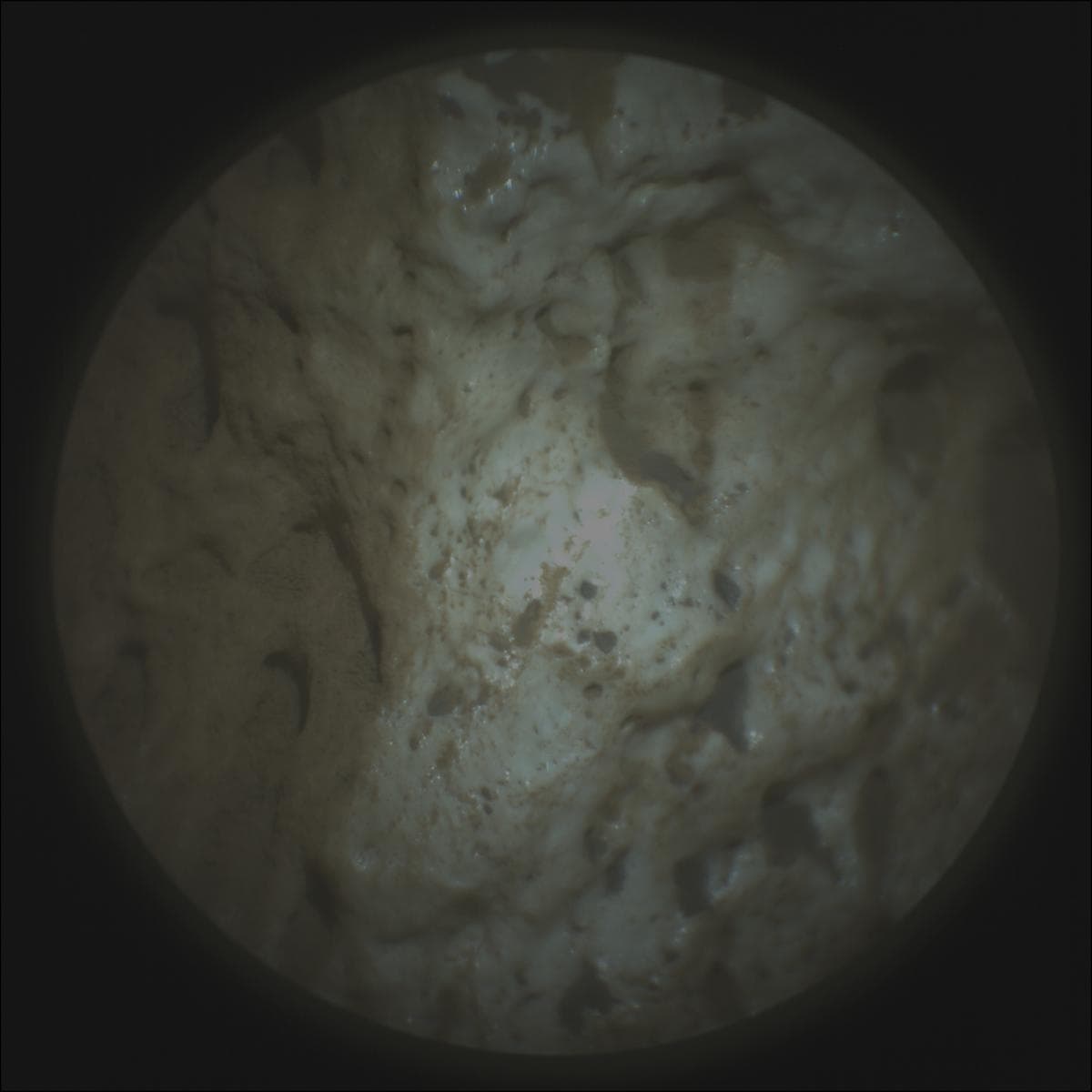 Mars rover photo