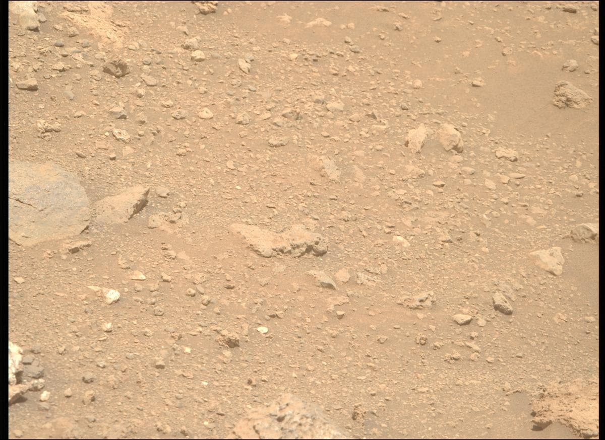 Mars image captured by MCZ_RIGHT on Perseverance