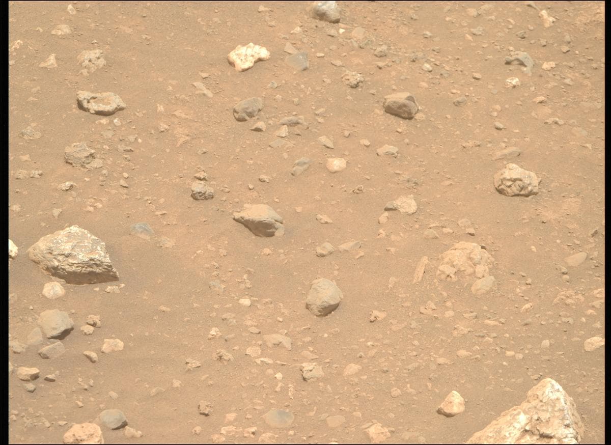 Mars image captured by MCZ_RIGHT on Perseverance