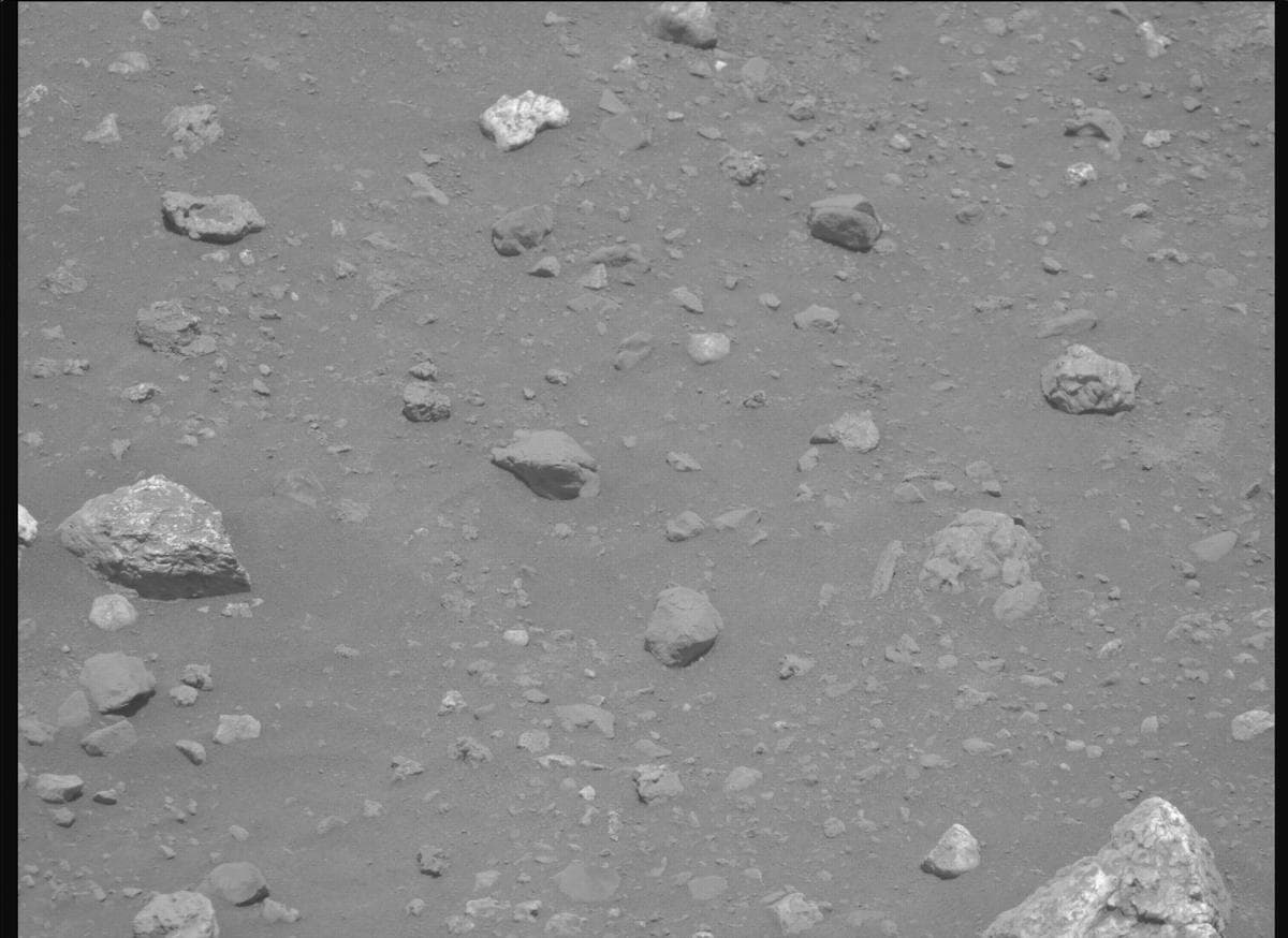 Mars image captured by MCZ_RIGHT on Perseverance