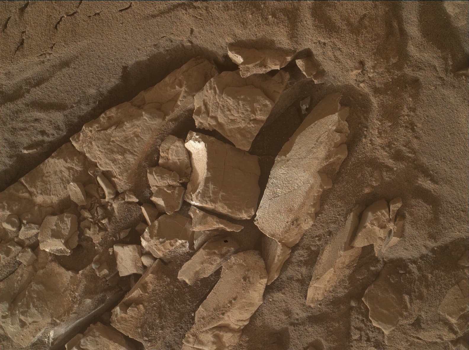 Foto do rover em Marte de 2026-01-25