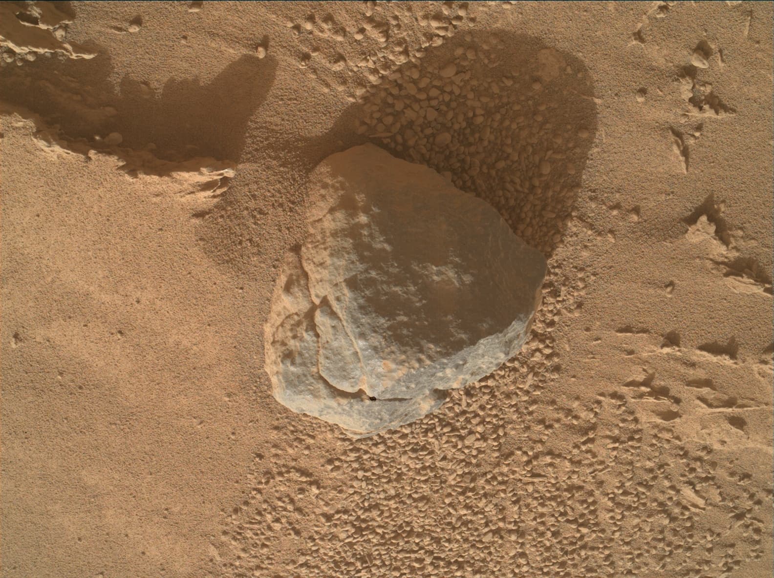 Foto do rover em Marte de 2026-03-08