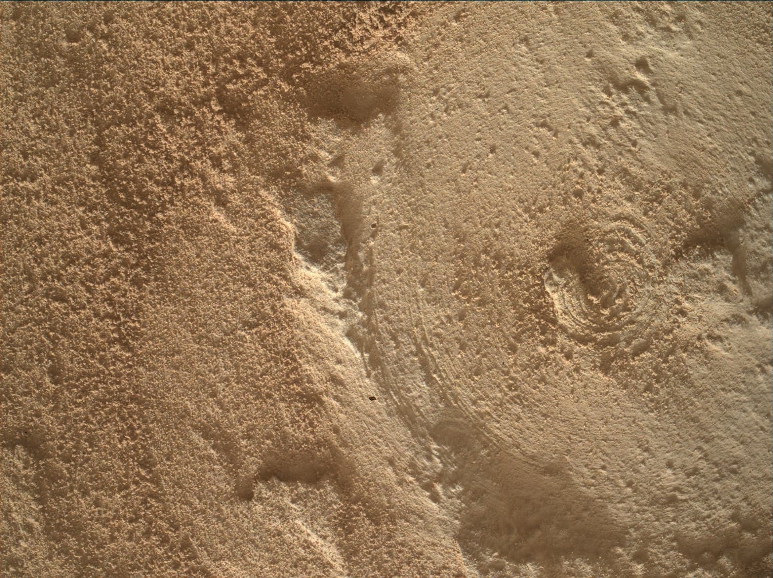 Foto do rover em Marte de 2026-06-08