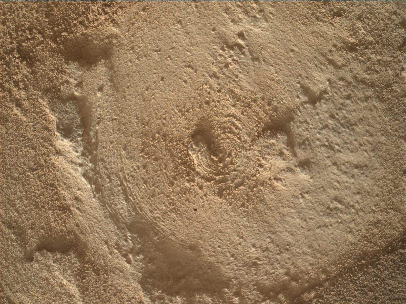Foto do rover em Marte de 2026-06-08