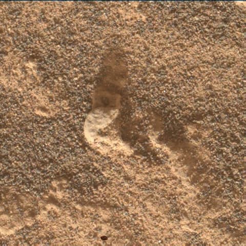 Foto de Marte da câmera MAHLI