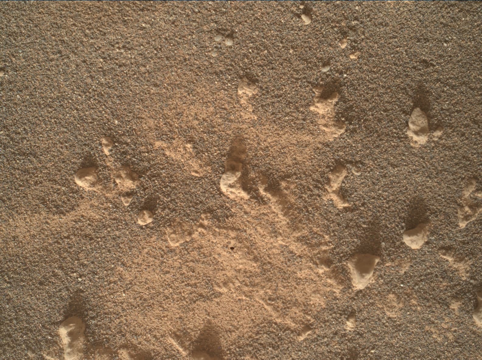 Foto de Marte da câmera MAHLI