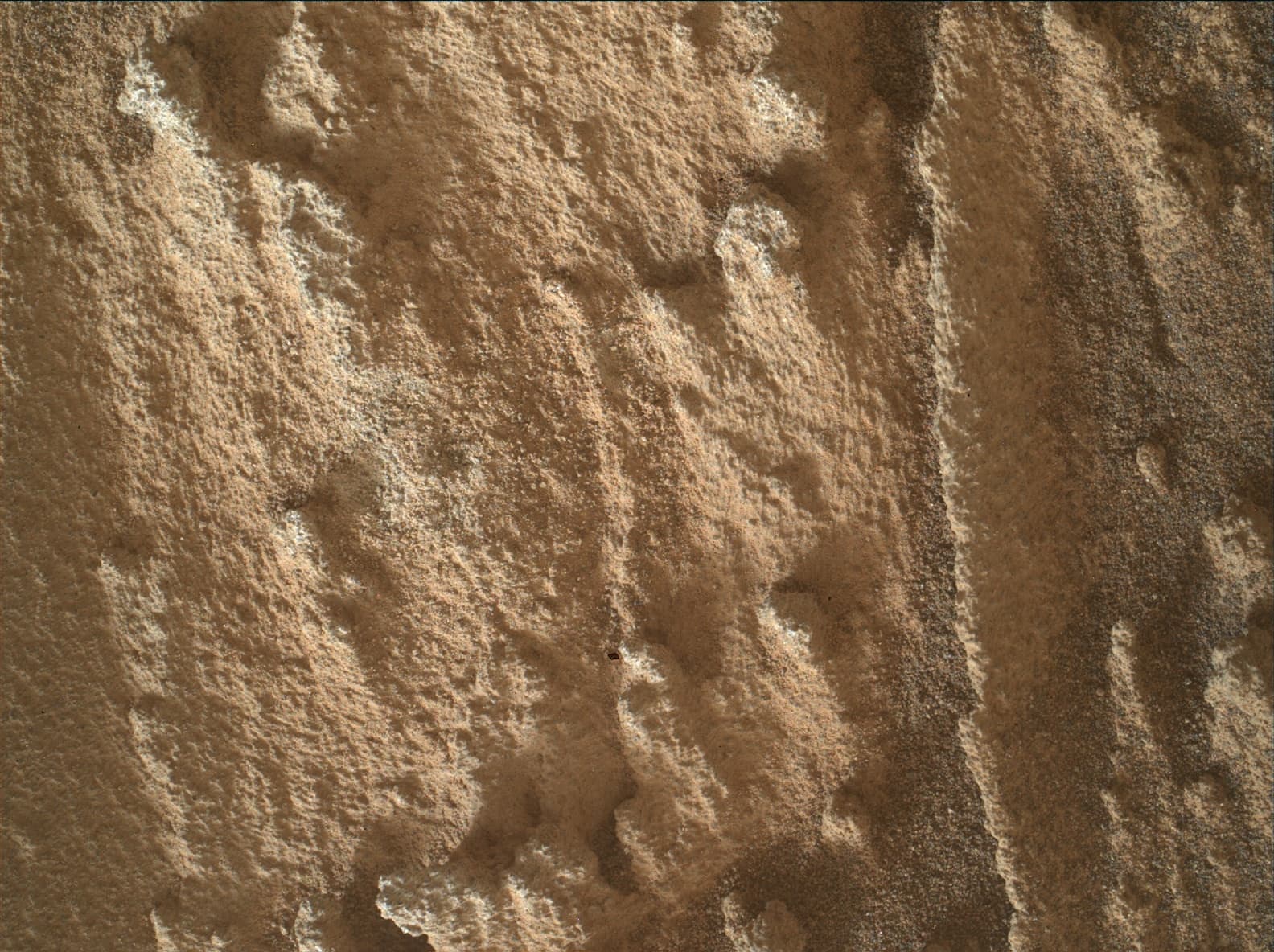 Mars image captured by MAHLI on Curiosity