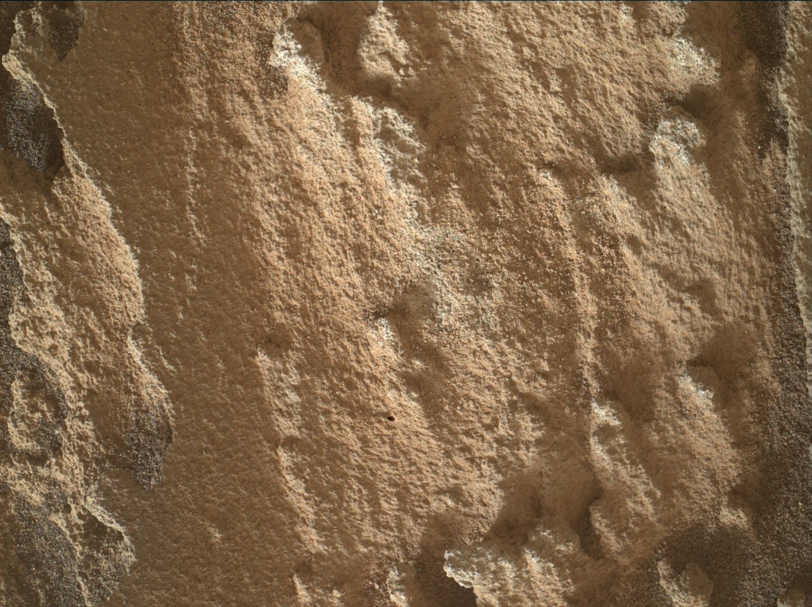 Mars image captured by MAHLI on Curiosity