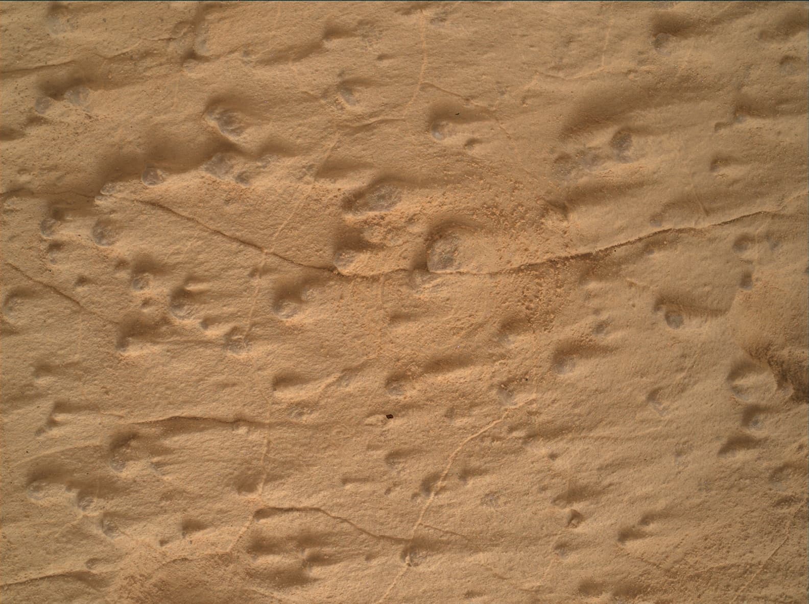 Mars image captured by MAHLI on Curiosity