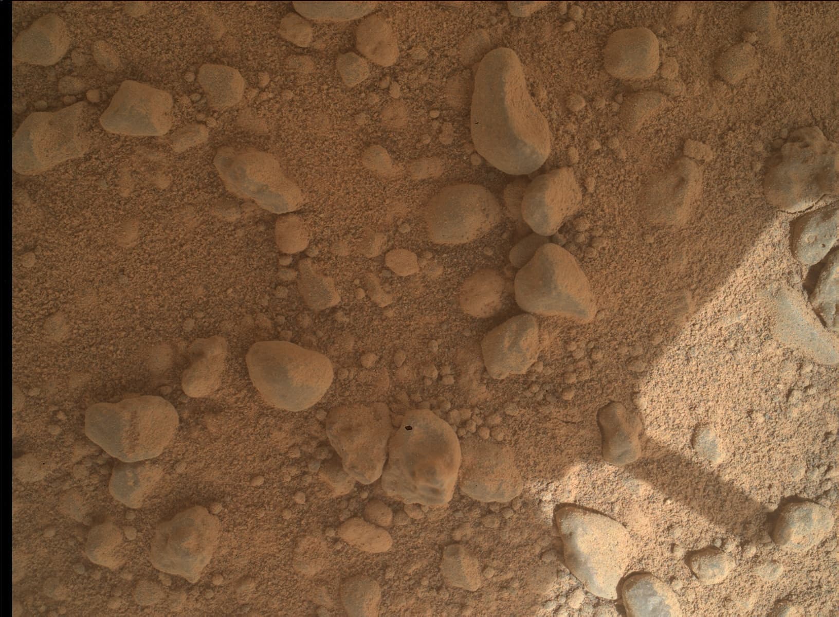 Mars rover photo