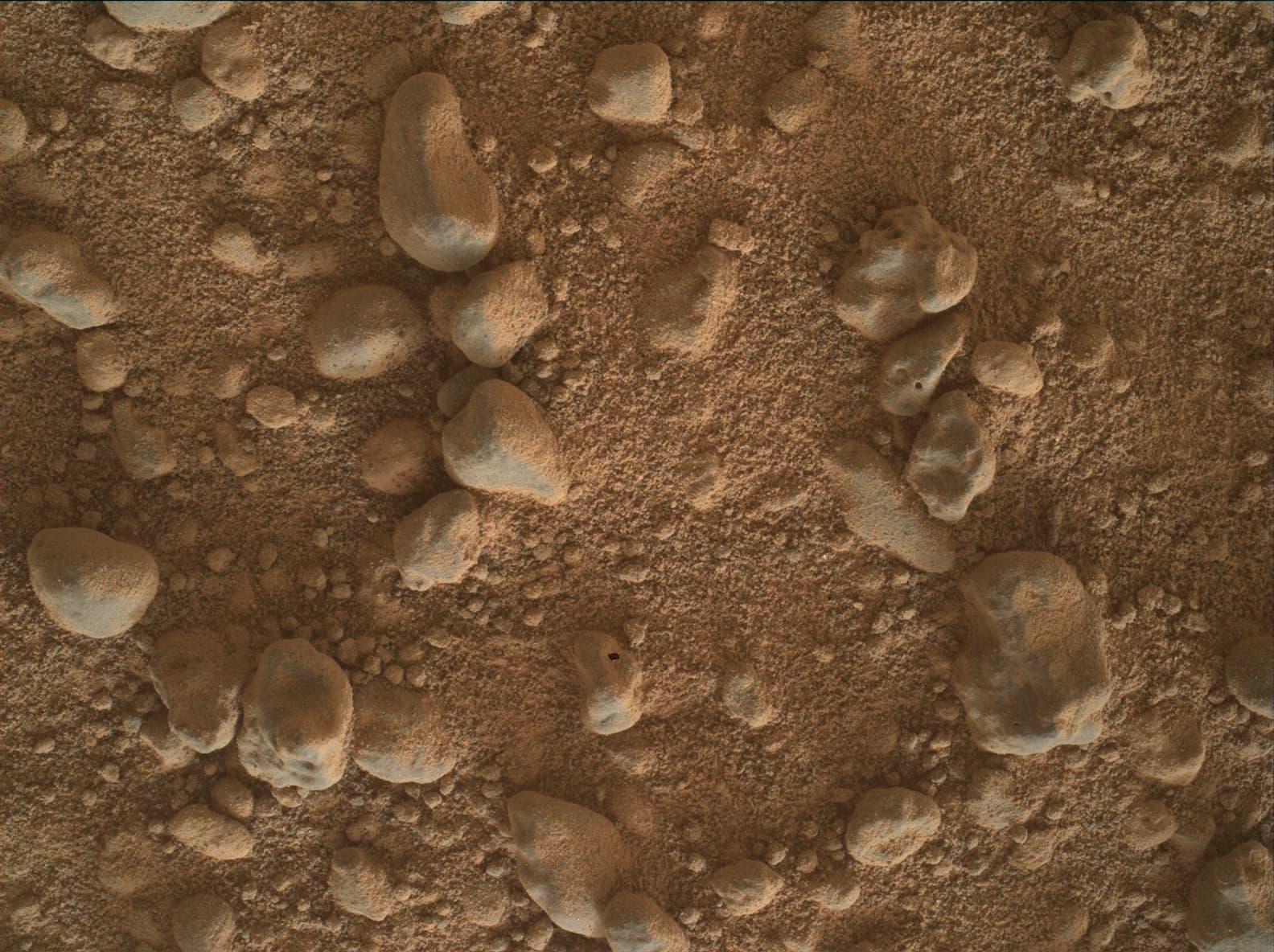 Mars image captured by MAHLI on Curiosity