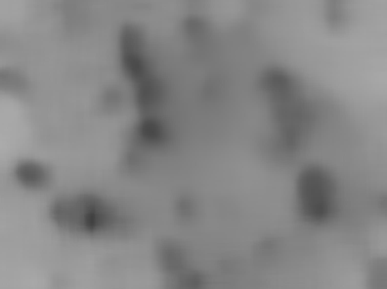 Mars image captured by MAHLI on Curiosity