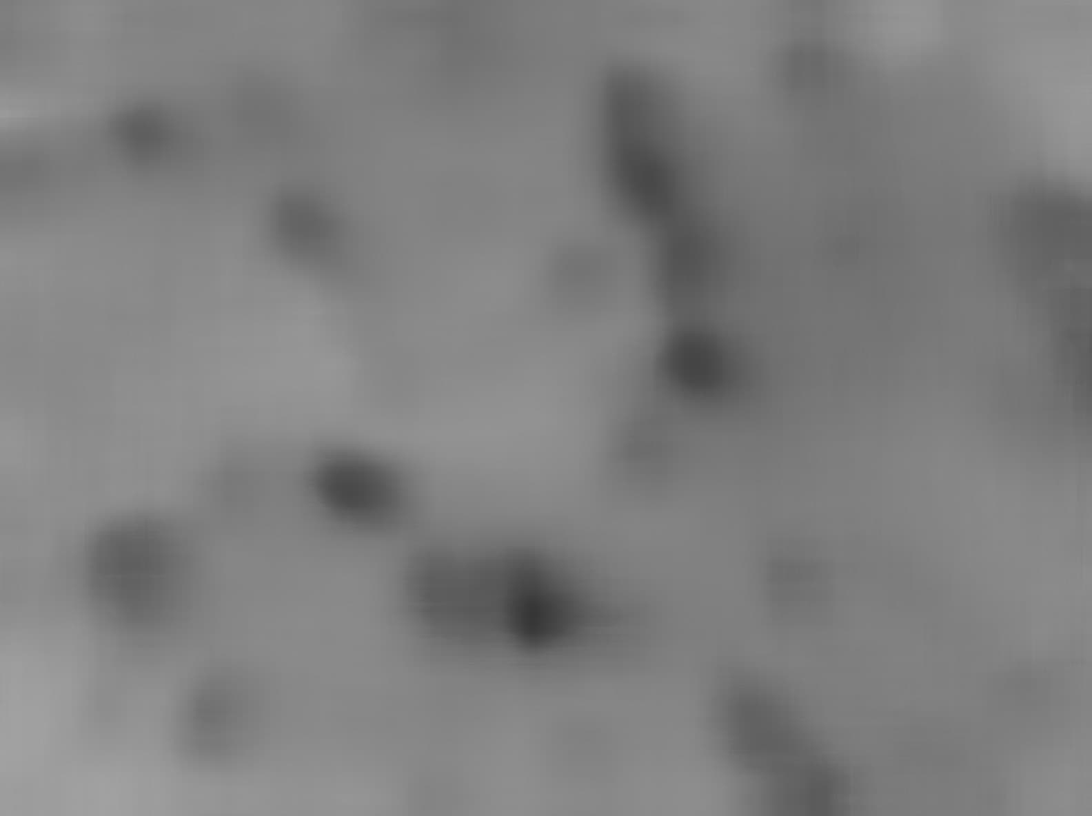 Mars image captured by MAHLI on Curiosity