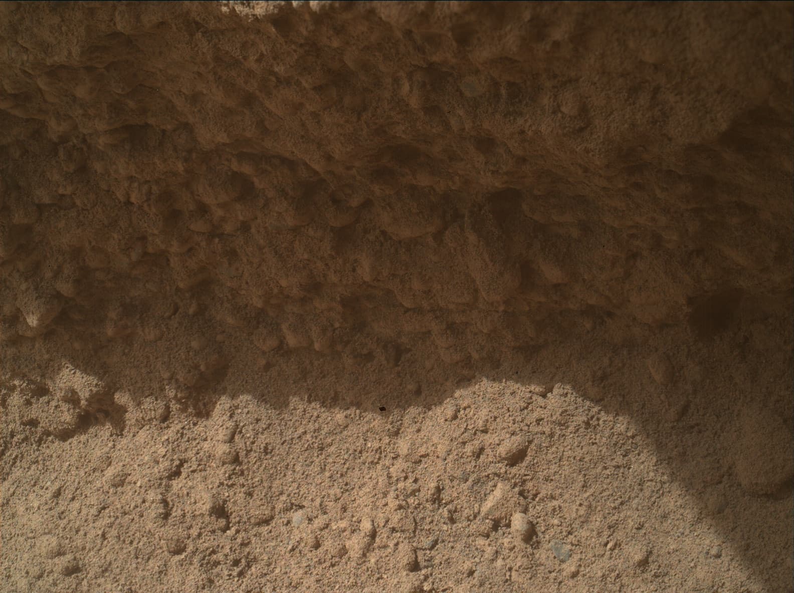 Mars image captured by MAHLI on Curiosity
